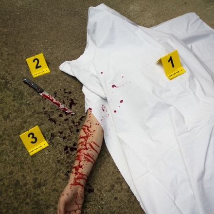 etapas del proceso penal